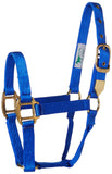 Hamilton 1-Inch Nylon Horse Halter, Yearling Size (300-500-Pounds), Blue