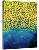Peacock Feathers-Canvas Art-25.92X36