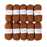 Knit Picks Wool of The Andes Yarn Pack - 10 Skeins of Brown 100% Wool Worsted Weight Yarn (Persimmon Heather)
