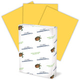 Hammermill Fore MP Recycled Colored Paper