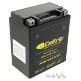 Caltric Agm Battery Compatible with Suzuki Gz250 Gz-250 1999-2010 / Tu250 2011 / Tu250X 2009 2013-2016