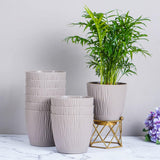 Nurturing Green Self Watering Plant Pots, 14Cm, Set Of 10 (Mocha)