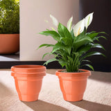 Urbane Home (Pack Of 3) Flower Pot | 2Layer Fuldani Flower Pot | (6 Inch) Pots For Terrace, Garden | Pots Stand For Plants | Ph