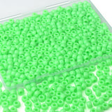 XIANNVXI Bright Green Pony Beads 9mm Green Pony Beads for Bracelets Hair Beads Bulk for Braids Crafts Friendship Necklace 500PCS