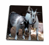 3dRose Pygmy Goat Drawing Book, 8 by 8Inch (db_1068_1)