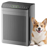 Air Purifiers for Home Large Room up to 2200sq.ft with Washable Filters, EVALIT Air Purifier for Bedroom with Fragrance, PM 2.5