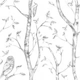 NuWallpaper NU1412 Woods Peel & Stick Wallpaper, Grey
