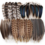 iHUFeather 40pcs Natural Pheasant Feathers Bulk Spotted Feathers 5 Styles Mixed Feathers for Crafts DIY Hat Floral Arrangements
