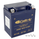 Caltric Agm Battery Compatible with Yamaha Virago 250 Xv250 Xv-250 Xv 250 1995-2004