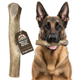 Heartland Elk Antlers for Dogs (Whole Elk, 8+, X-Large, 1-Pack) - Grade A, Naturally Shed | Safe, Long-Lasting Chew for Aggressi