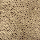 Fashion Fabrics LLC Saratoga Ostrich Fauc Leather Vinyl Fabric - Sold by The Yard (Toffee Brown)