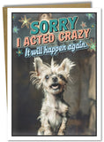 Katie Doodle - I m Sorry Card (Handmade in USA) - Great for Apology Card, I m Sorry Gifts for Her Him, Funny Apology Gifts for
