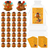 WZSTNBLA 50 Sets Fall Autumn Thanksgiving Mini Turkey Figurines Gifts Thank You Appreciation Gift Bulk Resin Turkey Pens Greetin