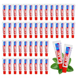 Toothpaste Bulk Travel Size, Disposable Small Travel Portable Pocket Size Toothpaste for Vacation Hotel, Shelter/Homeless/Nursin