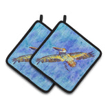 Caroline'S Treasures Pelican Pair Of Pot Holders 8377Pthd, 7.5Hx7.5W, Multicolor