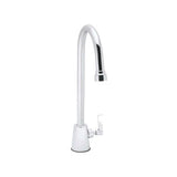 Speakman SC7112E Commander Single Lever Laboratory Faucet, Polished Chrome