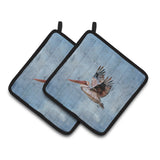 Caroline'S Treasures Bird - Pelican Pair Of Pot Holders 8506Pthd, 7.5Hx7.5W, Multicolor