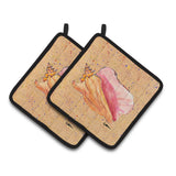 Caroline'S Treasures Shells Pair Of Pot Holders 8522Pthd, 7.5Hx7.5W, Multicolor