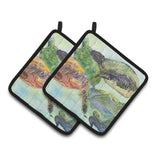 Caroline'S Treasures Turtle Pair Of Pot Holders 8549Pthd, 7.5Hx7.5W, Multicolor