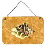 Caroline'S Treasures Shell Aluminum Metal Wall Or Door Hanging Prints, 8 X 12