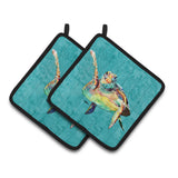 Caroline'S Treasures 8672Pthd Turtle Pot Holders (1 Pair), 7.5 X 7.5, Multicolor