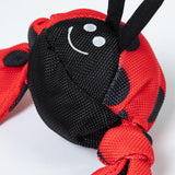 Jolly Pets Jolly Tug™ Insect Medium Dog Toy
