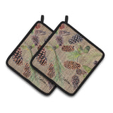 Caroline'S Treasures Pine Cones Pair Of Pot Holders 8735Pthd, 7.5Hx7.5W, Multicolor