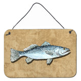 Caroline'S Treasures Speckled Trout Aluminum Metal Wall Or Door Hanging Prints, 8 X 12