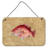 Caroline'S Treasures 8812Ds812 Strawberry Snapper Aluminum Metal Wall Or Door Hanging Prints, 8 X 12