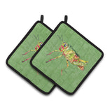 Caroline'S Treasures Grasshopper On Avacado Pair Of Pot Holders 8848Pthd, 7.5Hx7.5W, Multicolor