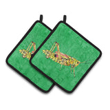 Caroline'S Treasures Grasshopper On Green Pair Of Pot Holders 8849Pthd, 7.5Hx7.5W, Multicolor