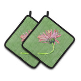 Caroline'S Treasures Gerber Daisy Pink Pair Of Pot Holders 8853Pthd, 7.5Hx7.5W, Multicolor
