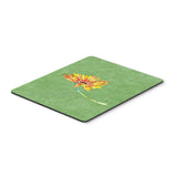 Caroline'S Treasures Gerber Daisy Orange Mouse Pad/Hot Pad/Trivet (8854Mp)