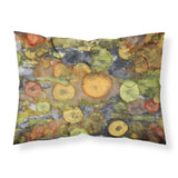 Caroline'S Treasures Abstract With Mother Earth Fabric Standard Pillowcase 8966Pillowcase, Multicolor