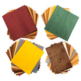 Peachtree Woodworking Supply Veneer Variety Pack for Marquetry and Inlay Work with 15 Square Feet of Domestic Exotic Various Gra