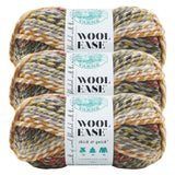 (3 Pack) Lion Brand Yarn 640612 WoolEase Thick and Quick, Coney Island3