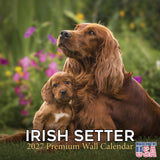 Irish Setter Calendar 2027 - 16 Month Dog Wall Calendar, Monthly Planner, Large Writing Blocks, Thick No Bleed Paper, Made in US