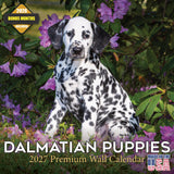 Dalmatian Puppies Calendar 2027 - 16 Month Dog Wall Calendar, Monthly Planner, Large Writing Blocks, Thick No Bleed Paper, Made