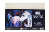 Brustro Artists Pastel Papers 160 Gsm A3 Assorted Soft (Pack Of 20 Sheets)