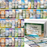 Maitys 240 Pcs Bible Verse Cards for Women with Assorted Bible Verses Mini Scripture Inspirational Quote Christian Gifts Encoura