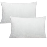FLXXIE 2 Pack Queen Zipped Velvet Pillowcases, Soft and Cozy Solid Decorative Pillow Cases with Hidden Zipper for Bedroom, Sofa,