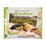 Royal & Langnickel Painting by Numbers Junior Large Art Activity Kit, Sleepy Day
