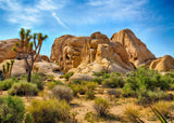 BELECO 10x6.5ft Fabric Desert Backdrop Joshua Tree National Park Photography Backdrop Odd Trees Rocky Mountains Natural Scenery