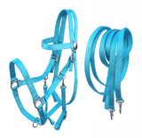 CHALLENGER Horse Western English Nylon Halter Bridle Combo w/Reins Sky Blue 60111SB-F