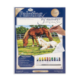 Royal & Langnickel PCL2 Painting by Numbers Large Canvas Painting Set, Horses in Field