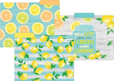 LEMON ZEST FILE FOLDERS
