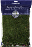 Supermoss Sheet Moss, 2Ounce, Green