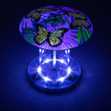 Bright & Bold Solar Bird Feeder