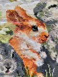 Riolis 1416 - Funny Rabbits - Counted Cross Stitch Kit 15 X 9 Zweigart 14 Ct. White Aida 24 Colors