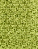 Satrani Womens Woven Polyester Saree (1850St172_Parrot Green)
